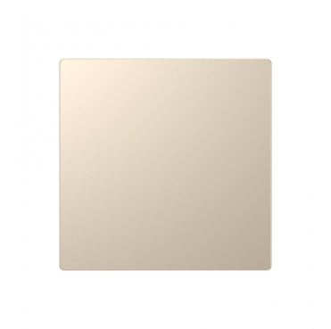 DE015CGS Screwless 1G Blanking Plate in Champagne Gold