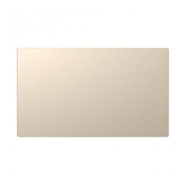 DE016CGS Screwless 2G Blanking Plate in Champagne Gold