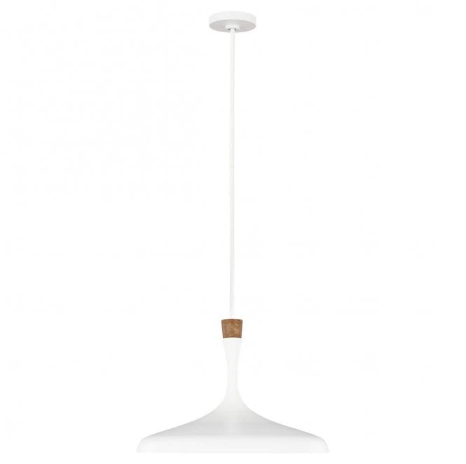 Feiss FE-DARWIN-P Darwin 1 Light Pendant in a Matt White with Wood Accent Finish